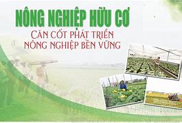 Công Ty Cổ Phần Nông Nghiệp Hữu Cơ Việt Nam