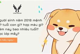 Học Lớp 6 Tuổi Con Gì