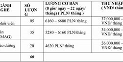 Xklđ Ba Lan 2022 Là Gì ؟ * 2 * 2 2Mm Pvc